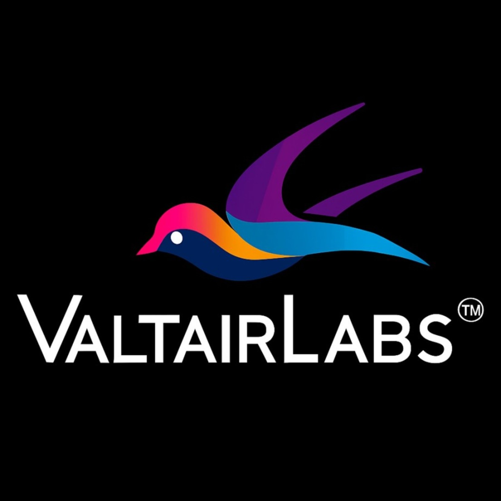 VAltairLabs